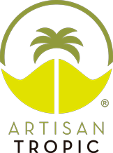 Artisan tropic Plantain Strips 4.5oz.